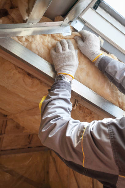 Best Types of Insulation in Eagle, ID