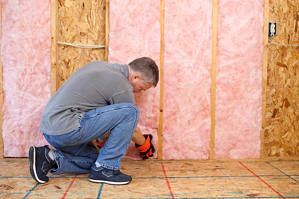 Best Insulation Installation Services in Eagle, ID