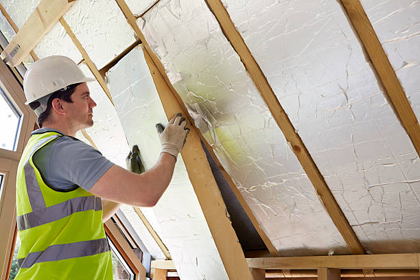 Best Insulation Maintenance and Repair in Eagle, ID