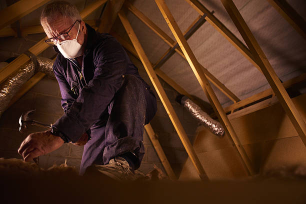 Best Insulation Installation Services in Eagle, ID