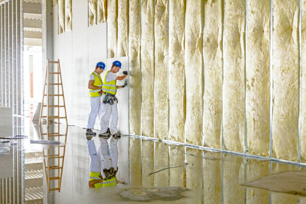 Best Insulation for Specific Applications in Eagle, ID